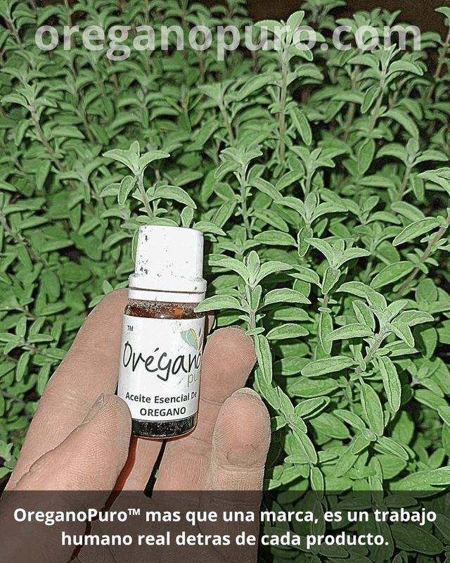 Aceite natural