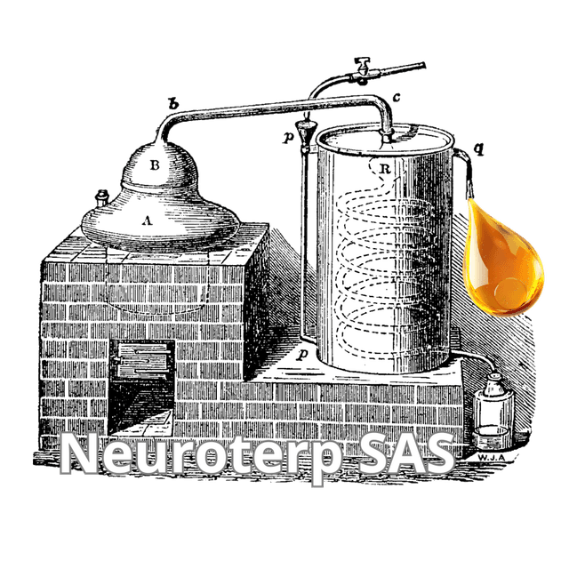 Neuroterp SAS