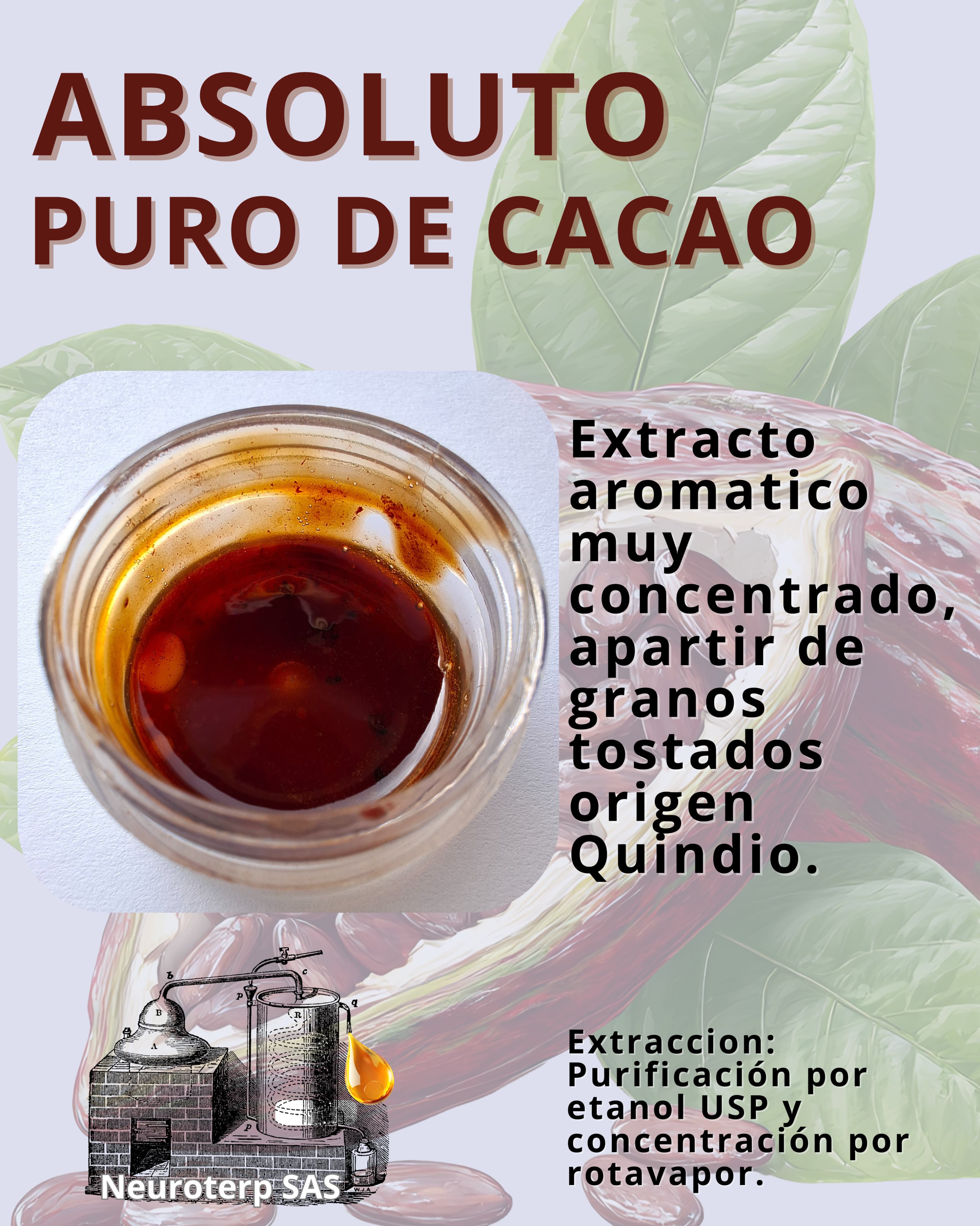 Absoluto de Cacao