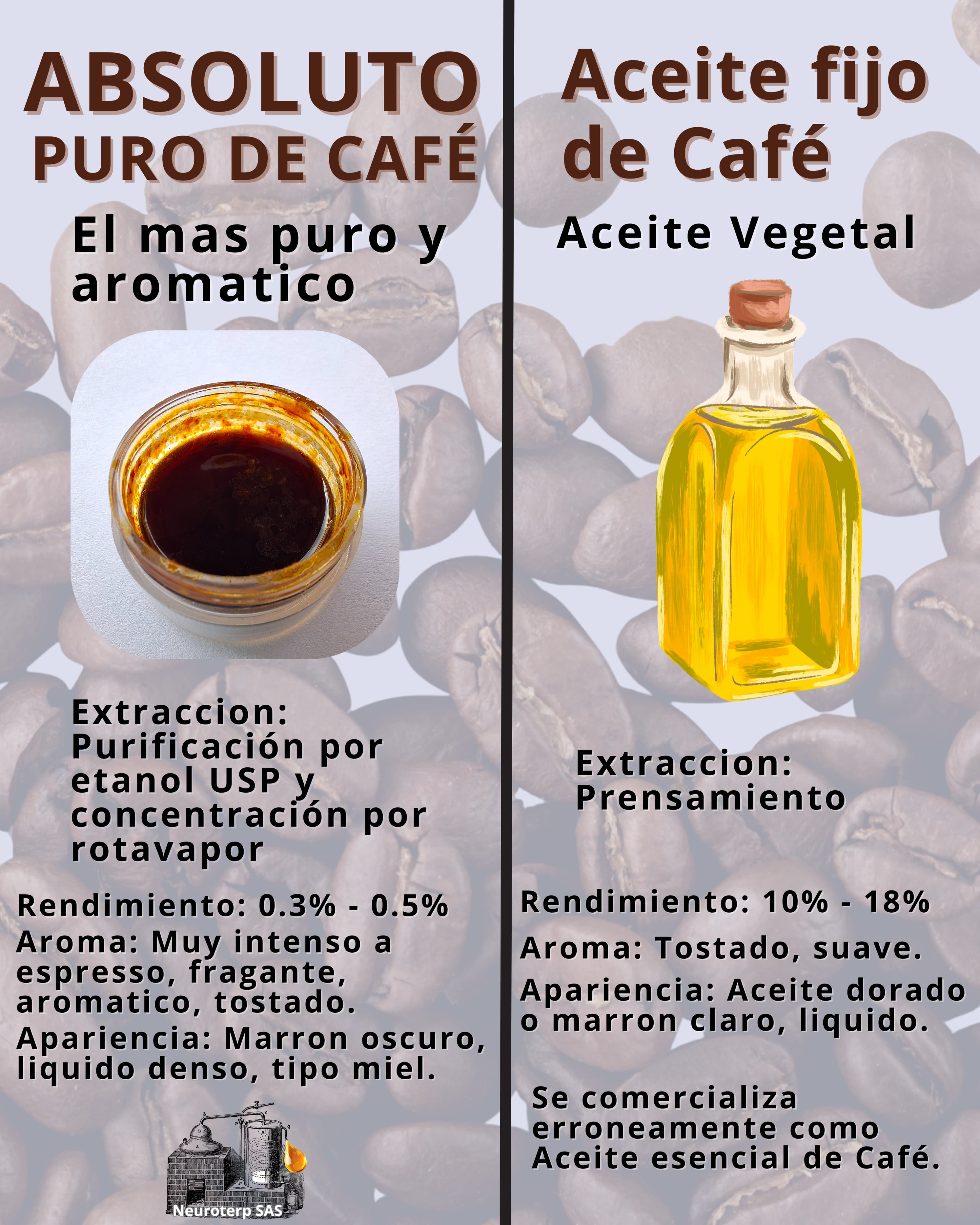 Comparación Absolutos